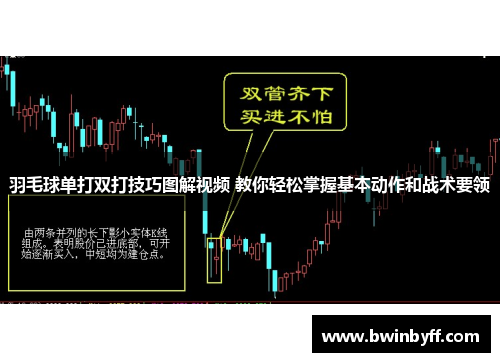 羽毛球单打双打技巧图解视频 教你轻松掌握基本动作和战术要领